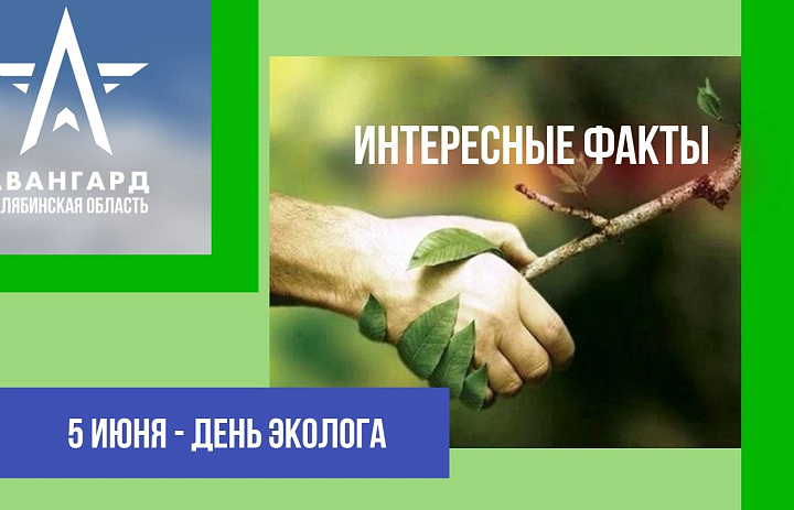 Интересные факты